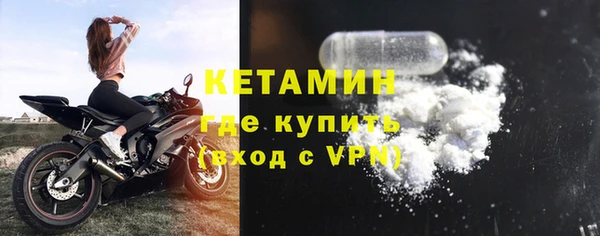 прущие грибы Балабаново